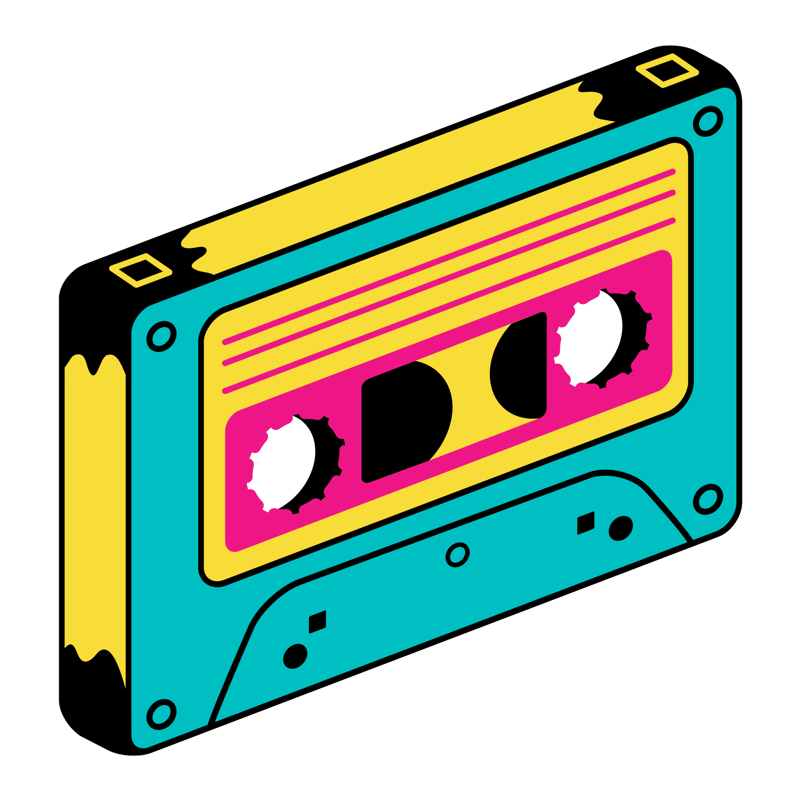 The Write Song